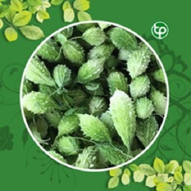 Địa Chỉ Bán Sỉ Lẻ Trái Khổ Qua Rừng Tươi Tại TP HCM?