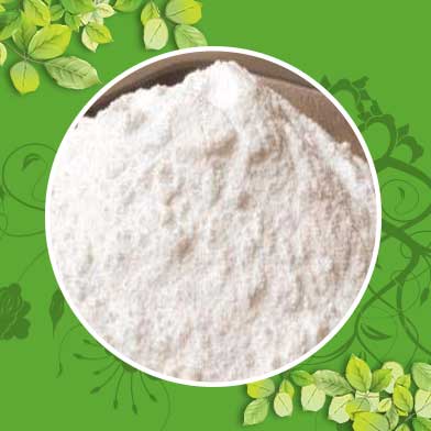 Địa Chỉ Mua Bán Bột Bạch Chỉ Tại HCM Ở Đâu?