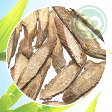 Địa Chỉ Mua Bán Dây Cóc Tại HCM Ở Đâu?
