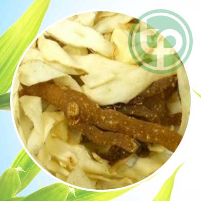 Địa Chỉ Mua Bán Ngọc Trúc Tại HCM Ở Đâu?