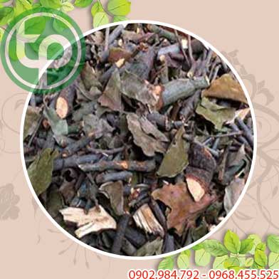 Địa Chỉ Mua Bán Tầm Gửi Gạo Tía Tại HCM Ở Đâu?