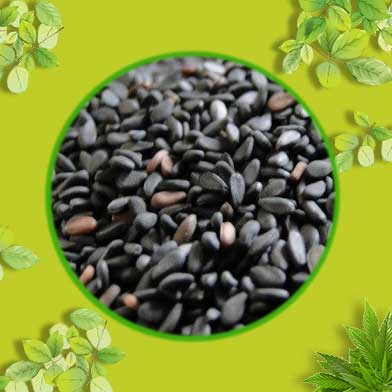 Địa Chỉ Mua Bán Vừng Đen Tại HCM Ở Đâu?