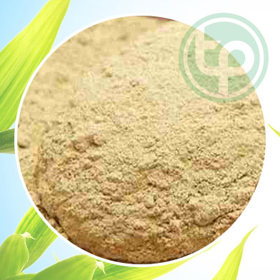 Mua Bán Bột Cam Thảo Tại tphcm ở đâu?