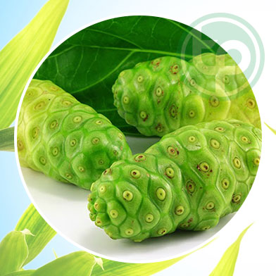 Mua Bán Bột Nhàu Tại tphcm ở đâu?