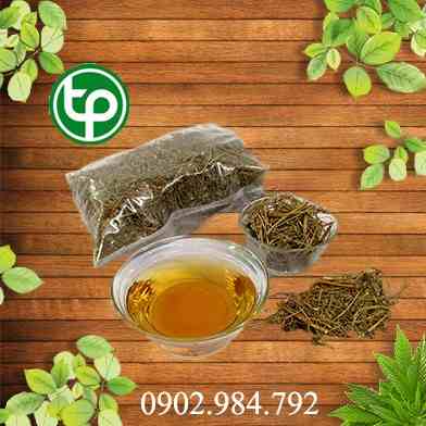 Mua Bán Diệp Hạ Châu Tại tphcm?