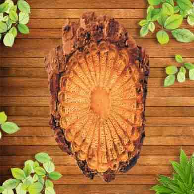 Mua Bán Hoàng Đằng Tại tphcm?