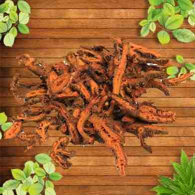 Mua Bán Hoàng Liên Tại tphcm?