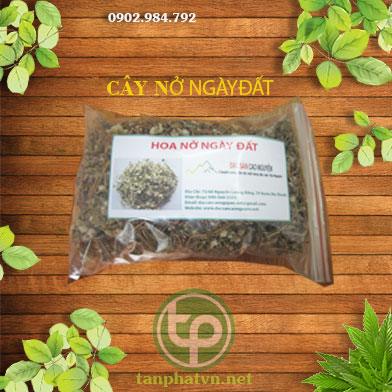 Mua Bán Nở ngày đất Tại tphcm ở đâu?