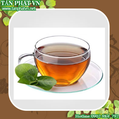 Phân phối sỉ lẻ dây thìa canh tại Đồng Tháp chất lượng