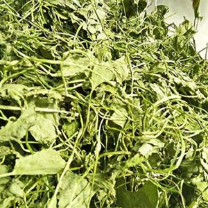 phân phối sỉ lẻ rau má khô tại Quảng Trị tăng cường sức khỏe