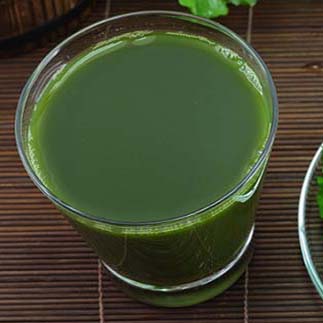 phân phối sỉ lẻ rau má khô tại Thanh Hóa giao hàng nhanh