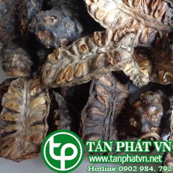 Phân phối sỉ lẻ trái nhàu tại Bình Chánh chất lượng