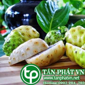 Phân phối sỉ lẻ trái nhàu tại Bình Thạnh tăng cường sức khỏe