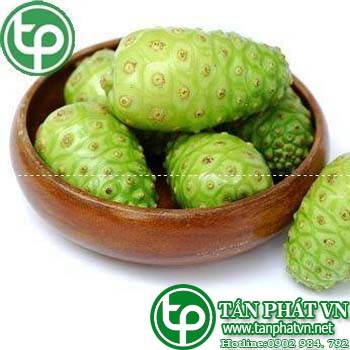 Phân phối sỉ lẻ trái nhàu tại Đà Lạt tăng cường sức khỏe