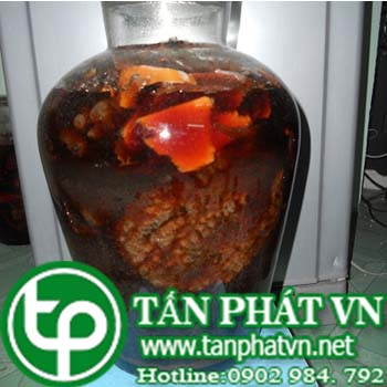 Phân phối sỉ lẻ trái nhàu tại Vũng Tàu uy tín